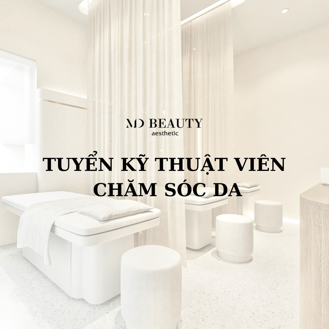 lĩnh vực hoạt động
